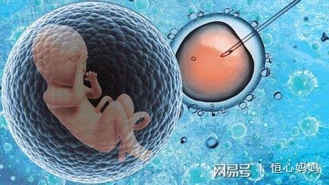 国内供卵代孕服务